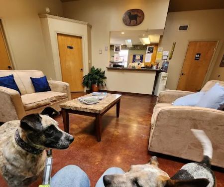 James River Animal Hospital