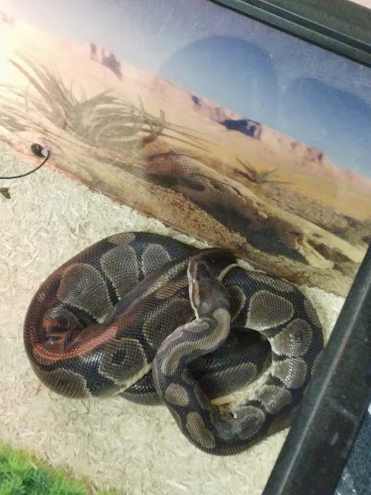 James River Animal Hospital Picture 5