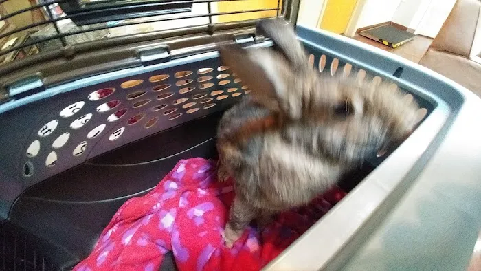 James River Animal Hospital Picture 3