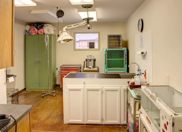 James River Animal Hospital Picture 4