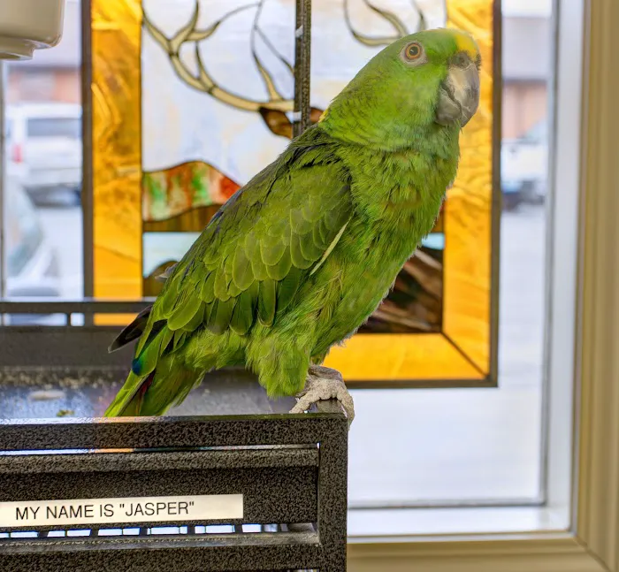 James River Animal Hospital Picture 9