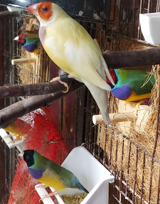 Dr. Doug Hardy Picture 2