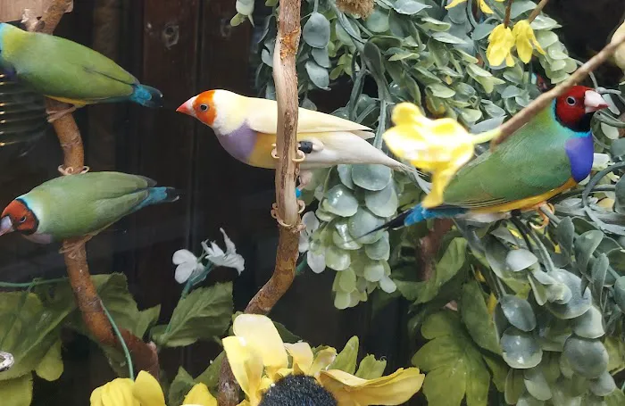 Dr. Doug Hardy Picture 1