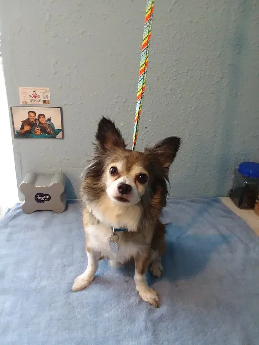 Dr. Doug Hardy Picture 4