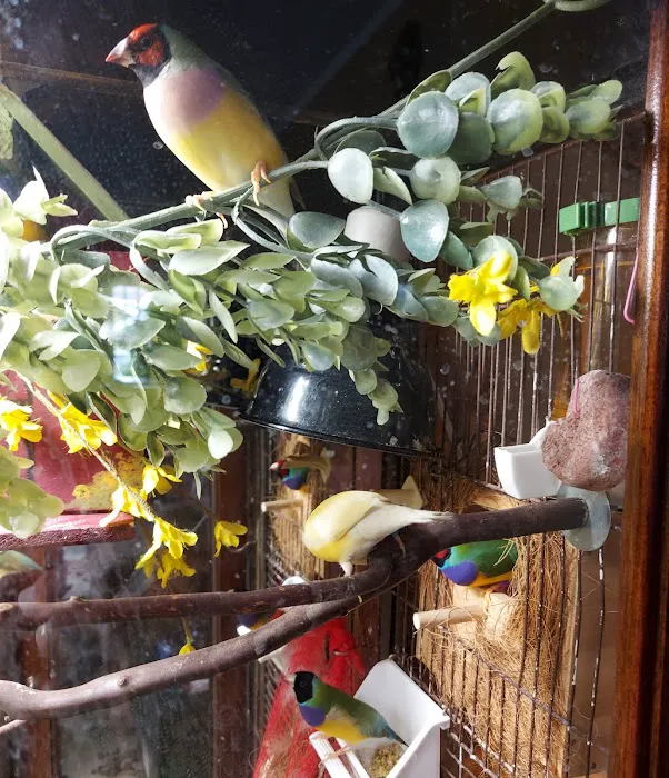 Dr. Doug Hardy Picture 3