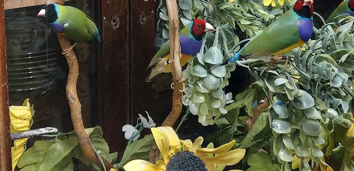 Dr. Doug Hardy Picture 5