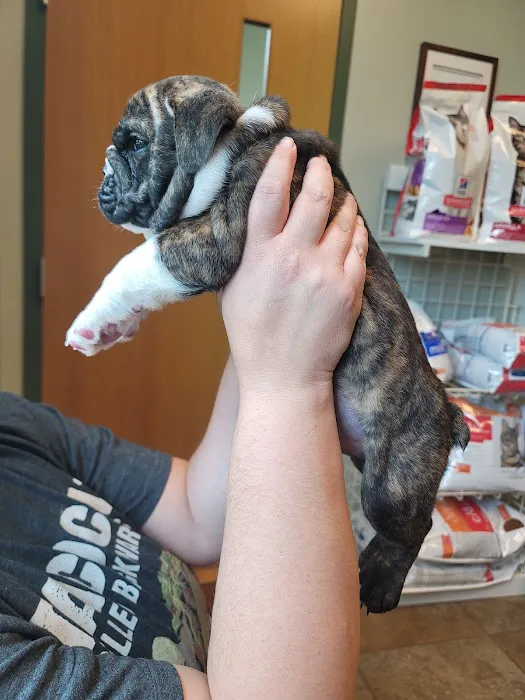 Best Friends Animal Hospital Picture 2