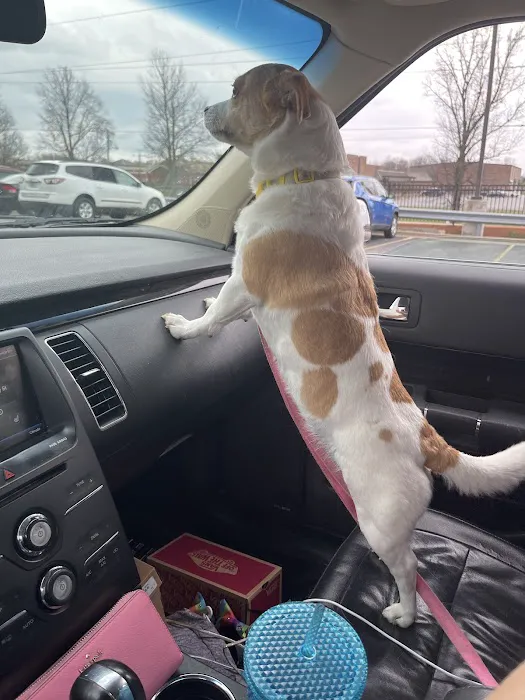 Best Friends Animal Hospital Picture 5