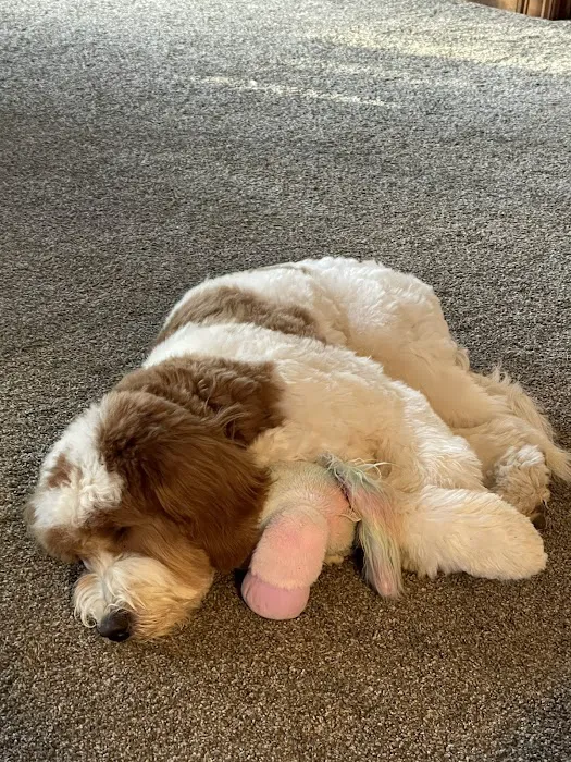 Best Friends Animal Hospital Picture 3