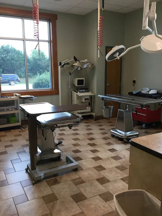 Best Friends Animal Hospital Picture 7