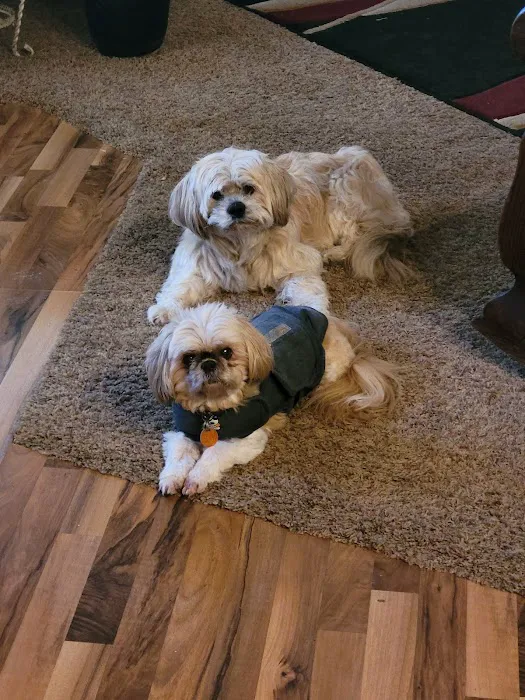 Cobblestone Veterinary Hospital Picture 1