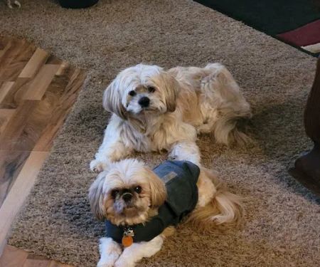 Cobblestone Veterinary Hospital