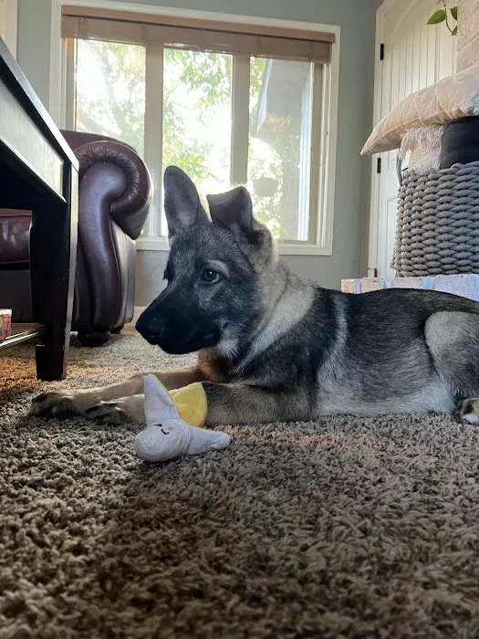 Cobblestone Veterinary Hospital Picture 5