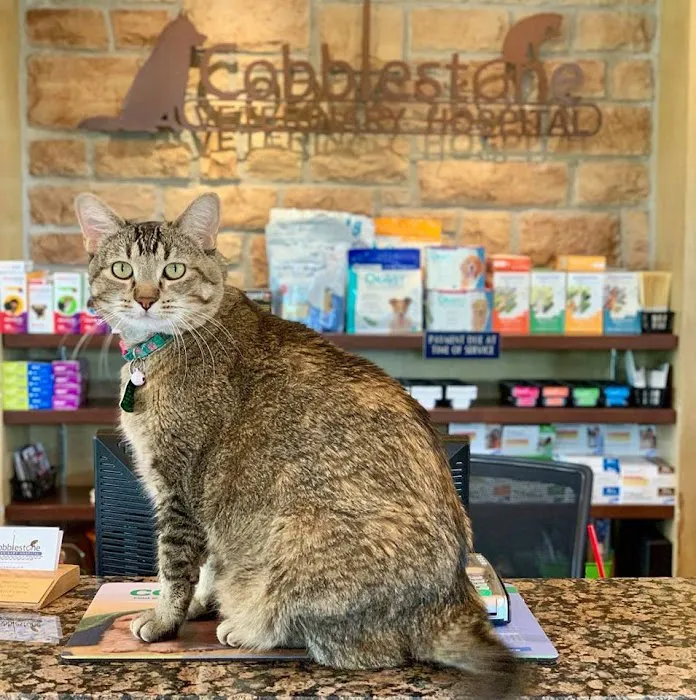 Cobblestone Veterinary Hospital Picture 8