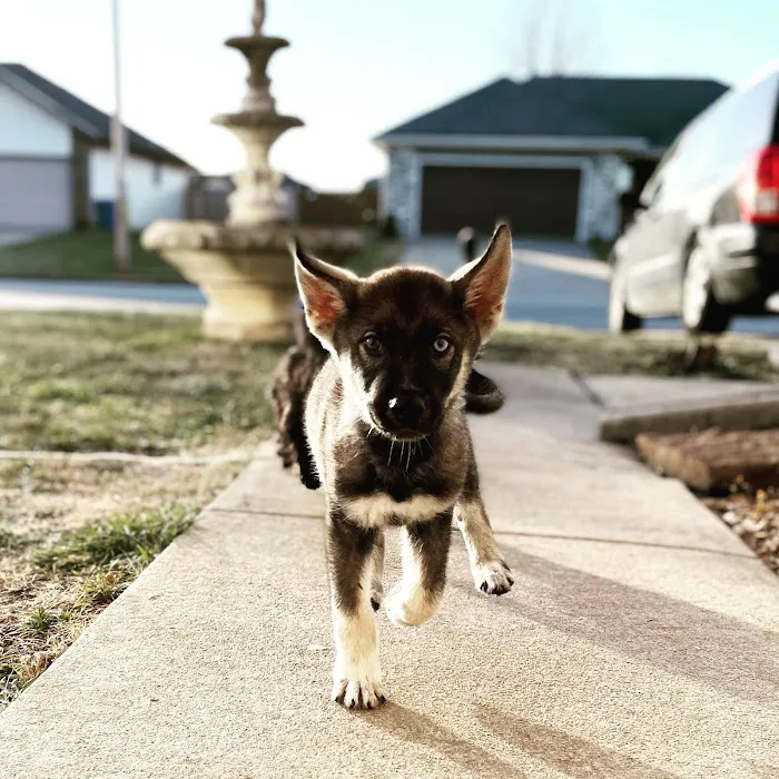 Seven Hills Veterinary Clinic Picture 1