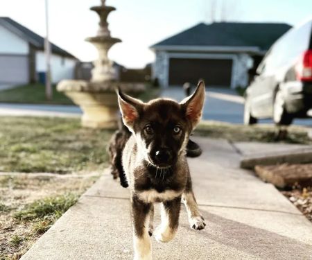 Seven Hills Veterinary Clinic