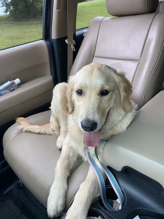 Seven Hills Veterinary Clinic Picture 2