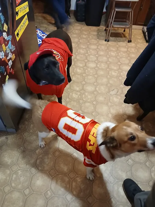 Seven Hills Veterinary Clinic Picture 5