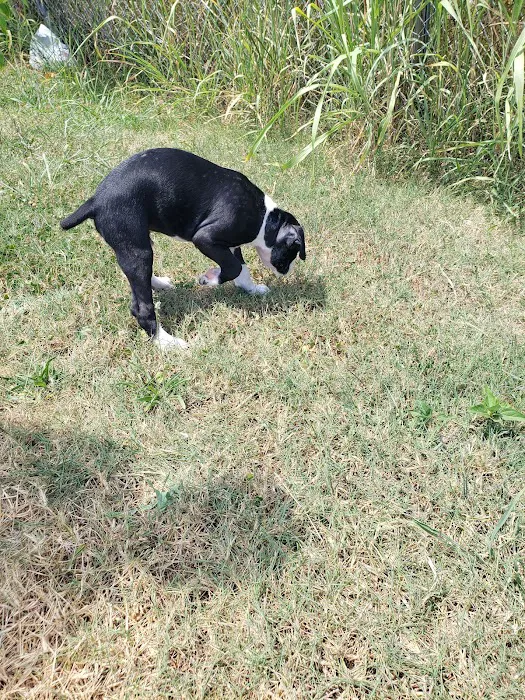 Seven Hills Veterinary Clinic Picture 9