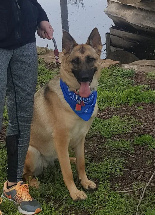 Seven Hills Veterinary Clinic Picture 10