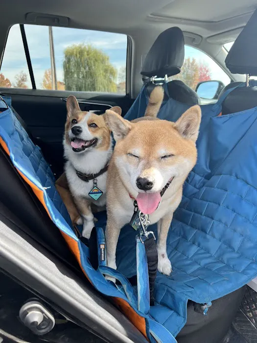 Healing Paws Veterinary Clinic Picture 7