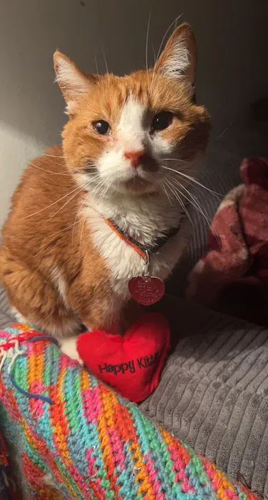 Healing Paws Veterinary Clinic Picture 8