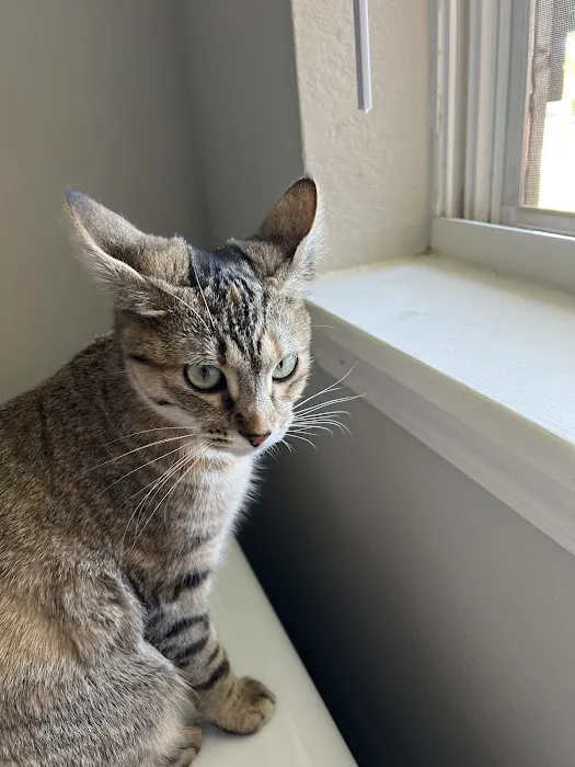 Bradford Park Veterinary Hospital Picture 3