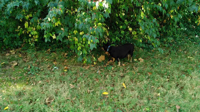 Bradford Park Veterinary Hospital Picture 4