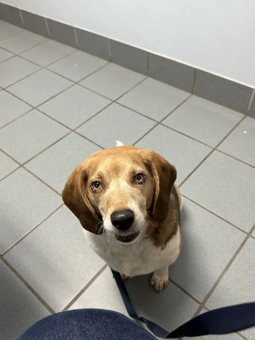 Bradford Park Veterinary Hospital Picture 1