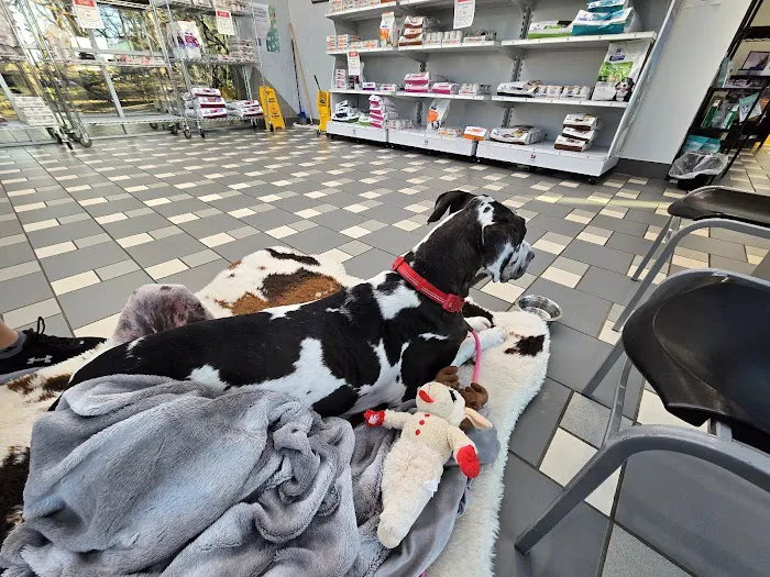 Bradford Park Veterinary Hospital Picture 7