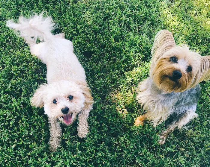 Bradford Park Veterinary Hospital Picture 8