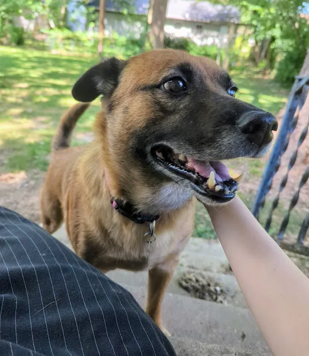 Bradford Park Veterinary Hospital Picture 10