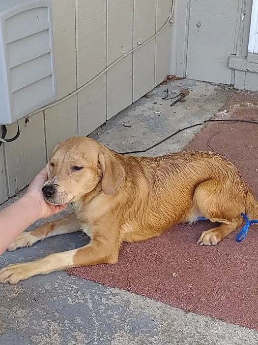 BPVH Clinical Trials Picture 5