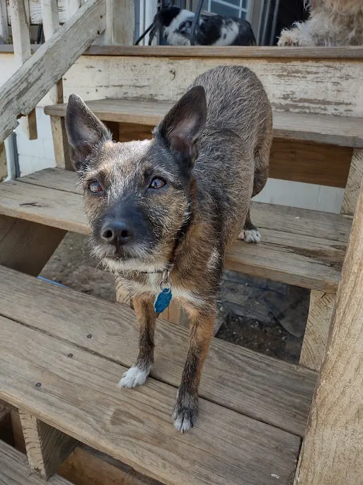 BPVH Clinical Trials Picture 4