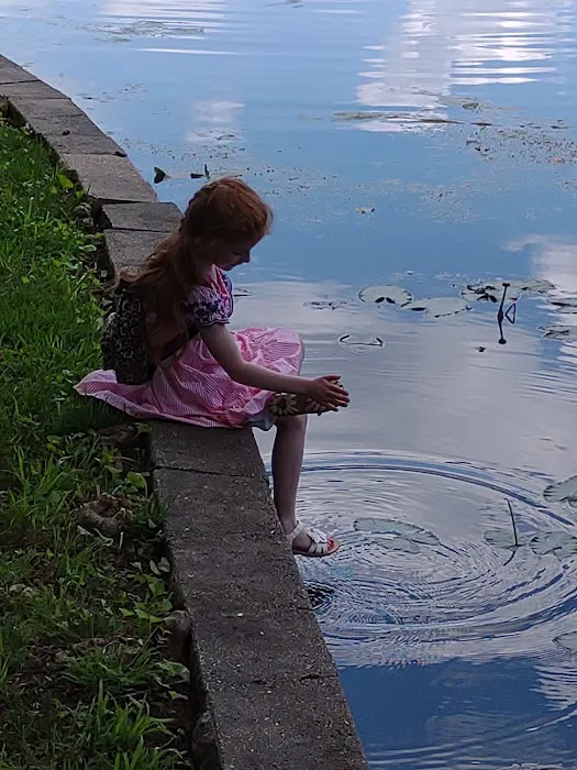 BPVH Clinical Trials Picture 1