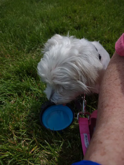 BPVH Clinical Trials Picture 7