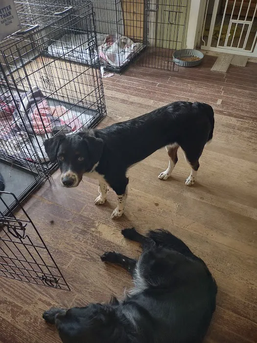 BPVH Clinical Trials Picture 8