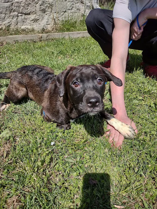 BPVH Clinical Trials Picture 6