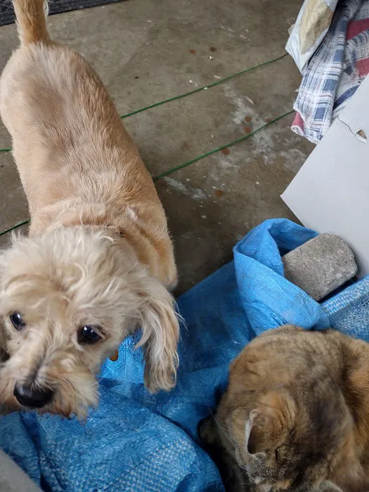 BPVH Clinical Trials Picture 9