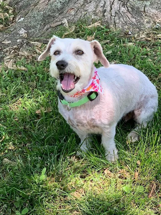 Heartland Animal Clinic Picture 4