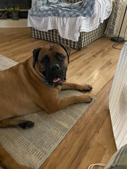 Heartland Animal Clinic Picture 2