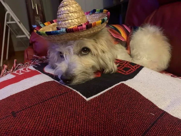 Heartland Animal Clinic Picture 5