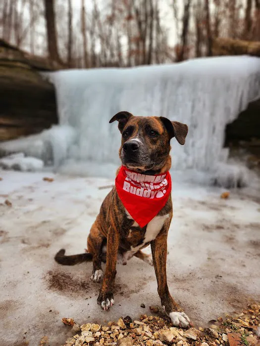 Heartland Animal Clinic Picture 3
