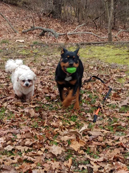 Heartland Animal Clinic Picture 8