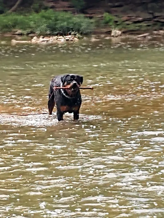 Heartland Animal Clinic Picture 7