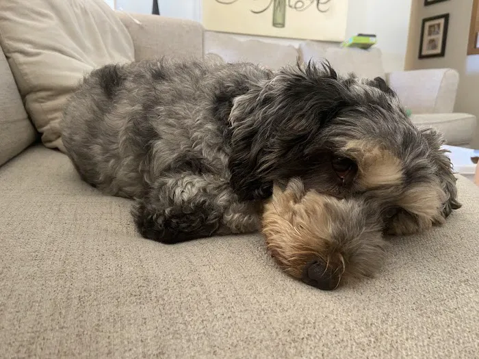 Heartland Animal Clinic Picture 6