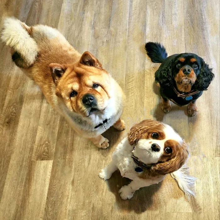 Heartland Animal Clinic Picture 9