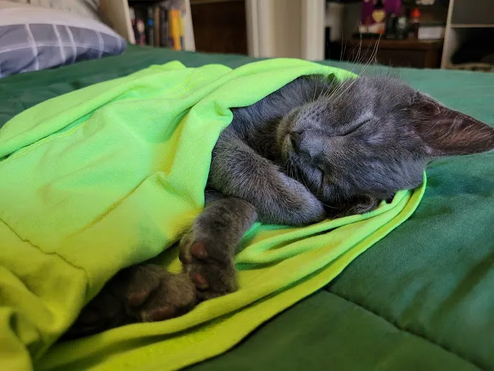 Nixa Animal Hospital Picture 5