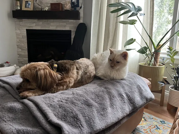 Nixa Animal Hospital Picture 3