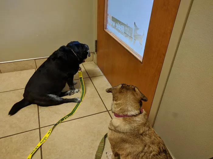 Nixa Animal Hospital Picture 4